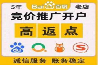 百度推广中SEO优化的成功案例分析